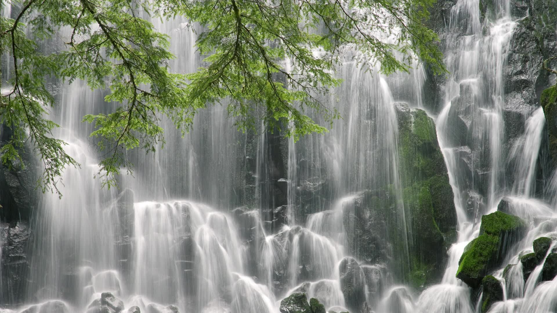 世界乒坛教练员年度评选与获奖名单揭晓，乒坛世界冠军排名